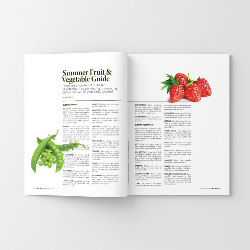 magazine-spread-BT-4